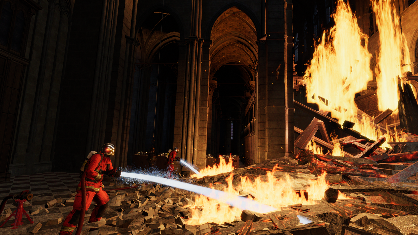 Save Notre-Dame on Fire