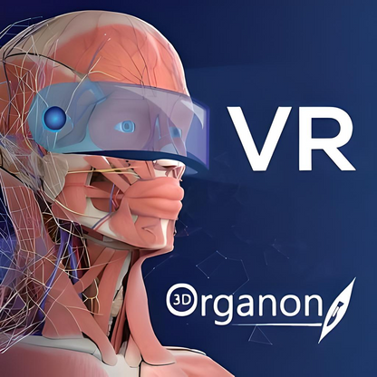 3D Organon XR