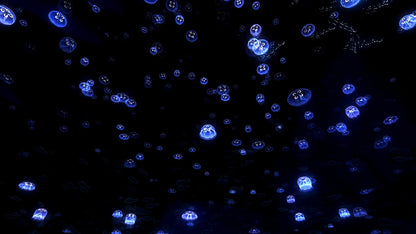 TheBlu