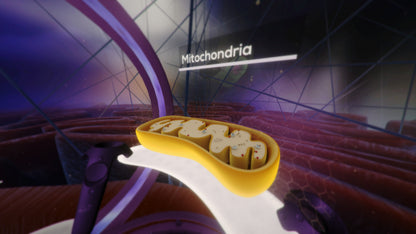 The Body VR: Journey Inside a Cell