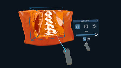 3D Organon XR